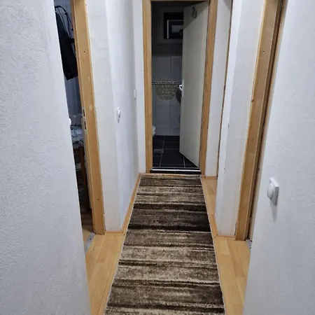Apartment Vlasina *