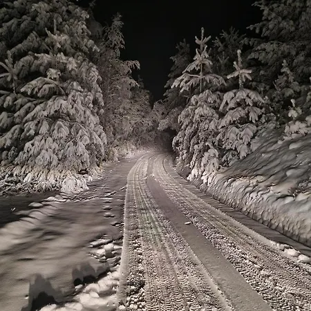 Vlasina *