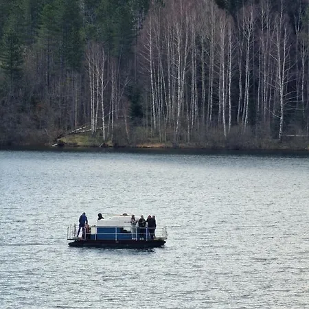 Vlasina Apartment Vlasina Rid