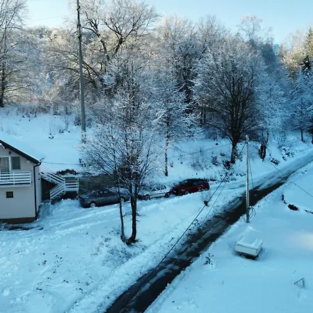 Vlasina Apartman *